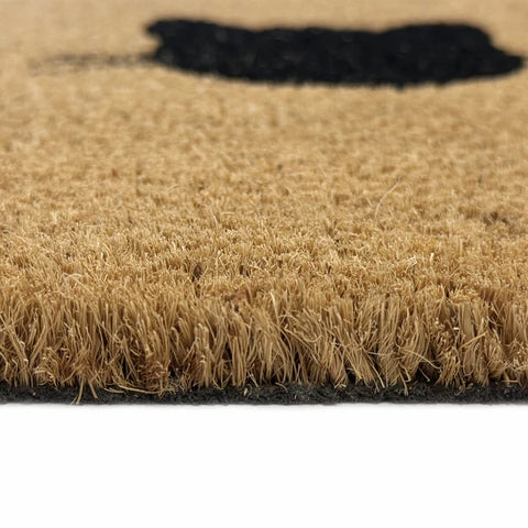 Kaşmir Halı Cat Home Coco Paspas 40x60 cm  