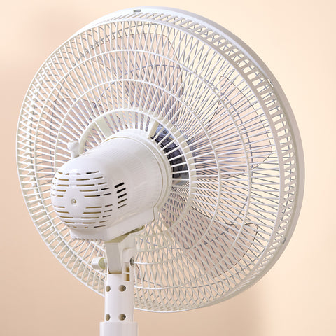 Homend Fanomen 9010H Standventilator mit einstellbarer Geschwindigkeit, Höhe und Schwenkkopf, 55 W