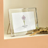 error-product-image